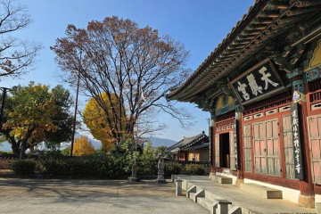 무봉사 여행 추천 - 메고지고