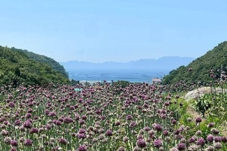 파라다랑스 여행 추천 - 메고지고