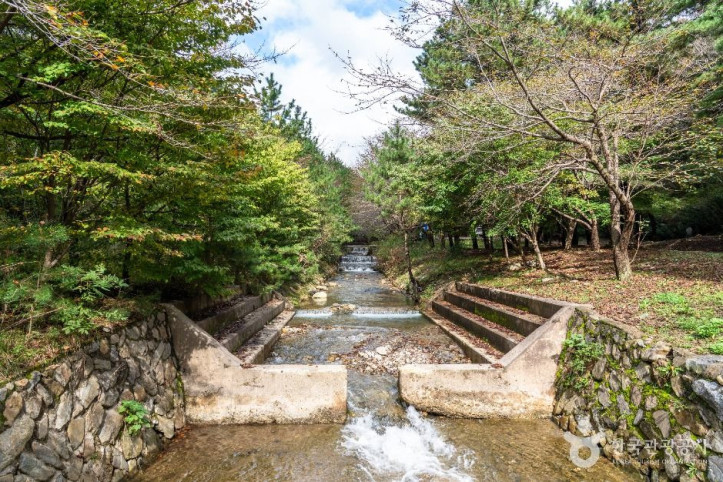 국립 희리산해송자연휴양림 여행 추천 - 메고지고