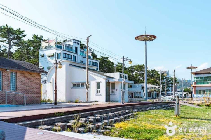 전촌솔밭해변 여행 추천 - 메고지고
