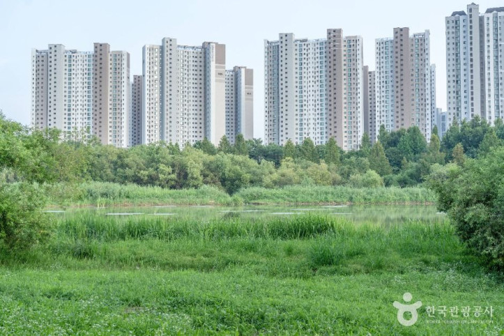 배다리생태공원 여행 추천 - 메고지고