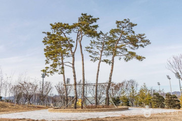 충주시 반려동물 놀이터 여행 추천 - 메고지고
