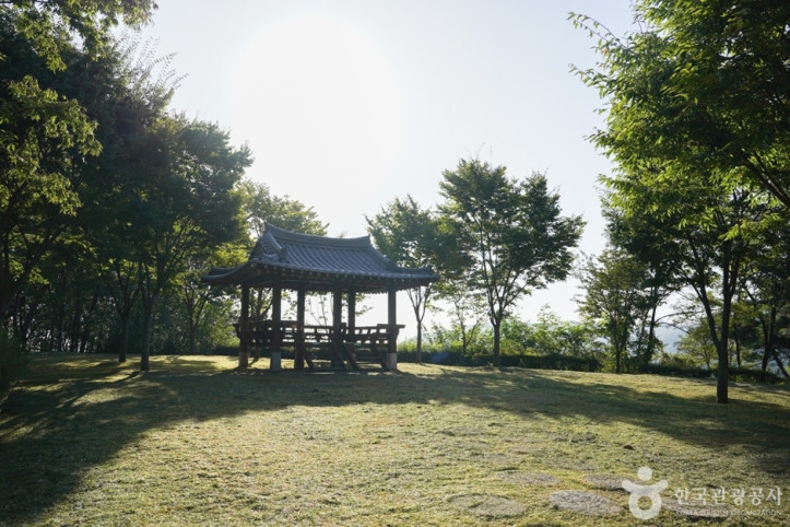 미숭산자연휴양림 여행 추천 - 메고지고