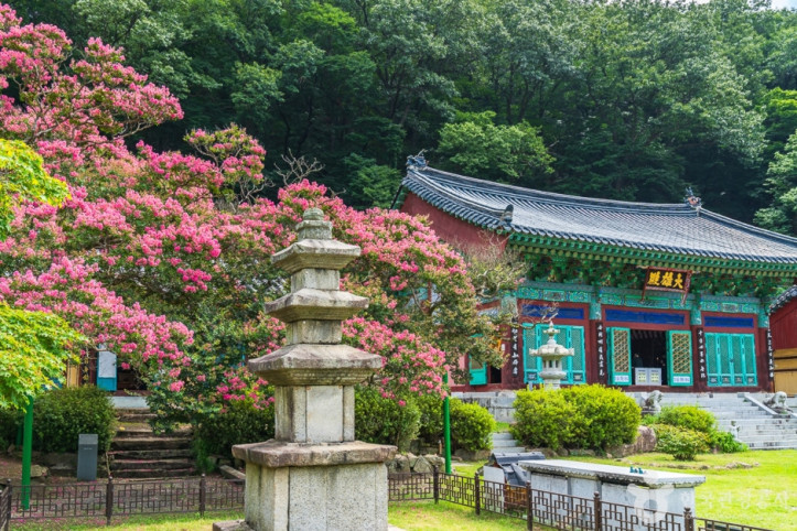 반야사 여행 추천 - 메고지고