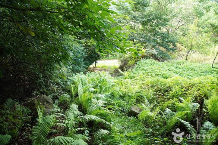 목우산 여행 추천 - 메고지고