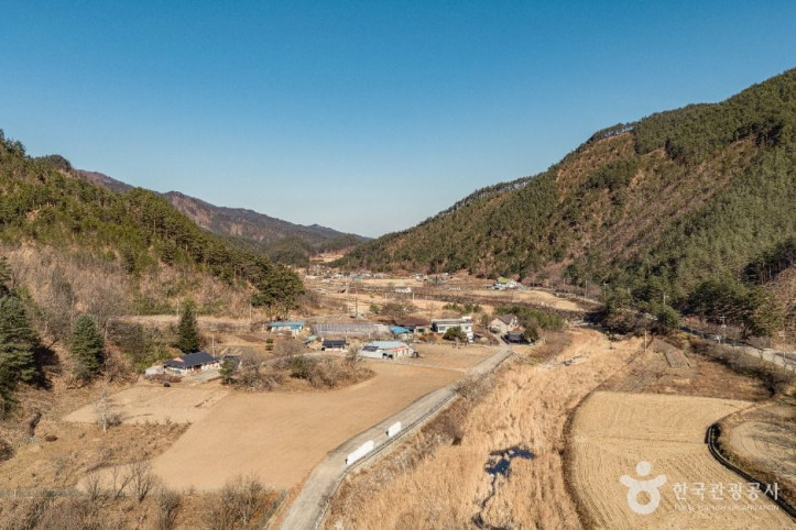 삼척 가시오가피마을 여행 추천 - 메고지고