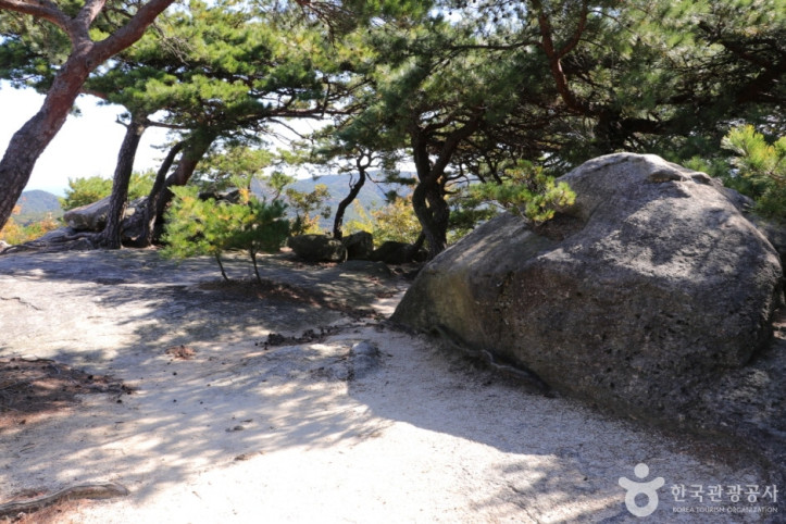 동축사 여행 추천 - 메고지고