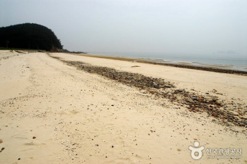 녹도 여행 추천 - 메고지고
