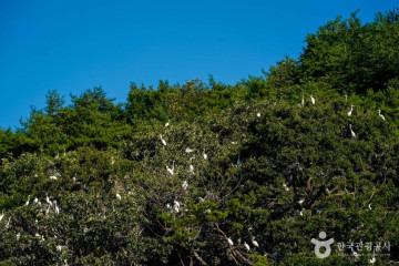 덕산서원(영주) 여행 추천 - 메고지고