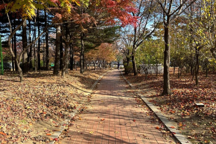 노들나루공원 여행 추천 - 메고지고