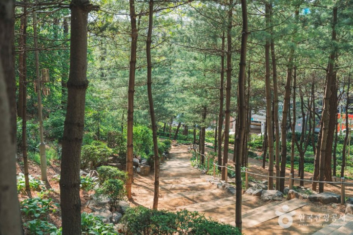 학동근린공원 여행 추천 - 메고지고