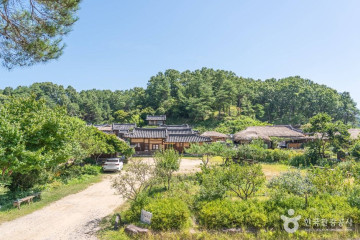 진월사(영주) 여행 추천 - 메고지고