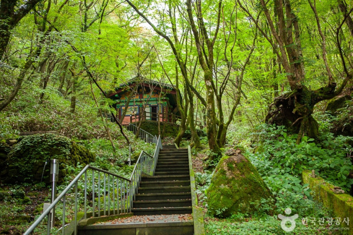 천왕사(제주) 여행 추천 - 메고지고