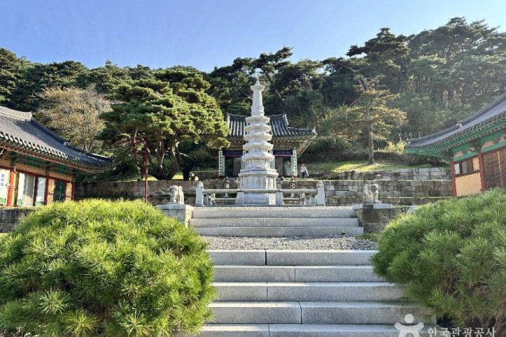 국형사 여행 추천 - 메고지고