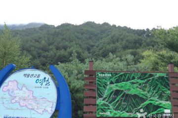 선바위산(영월) 여행 추천 - 메고지고
