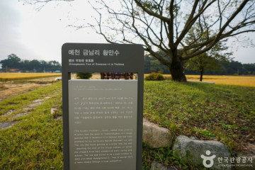 충절사·상의재 여행 추천 - 메고지고