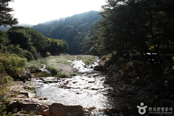 법흥계곡 여행 추천 - 메고지고
