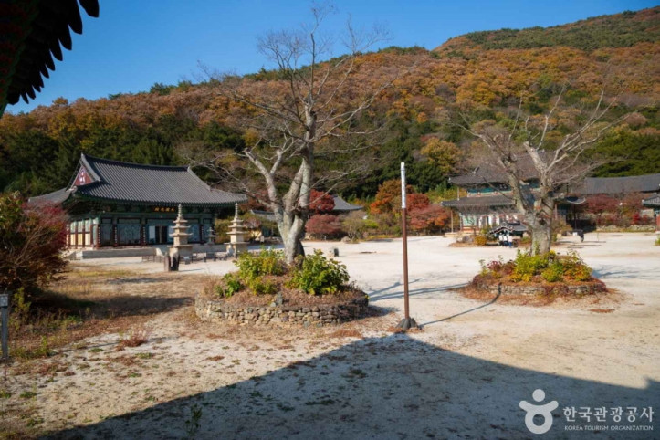 보림사(장흥) 여행 추천 - 메고지고