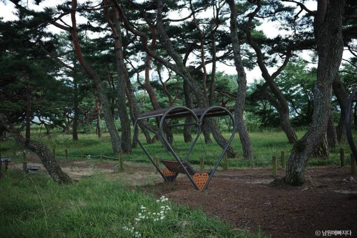 서어나무 숲 여행 추천 - 메고지고