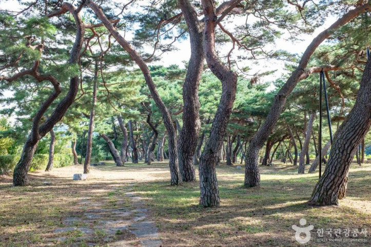 백운정 여행 추천 - 메고지고