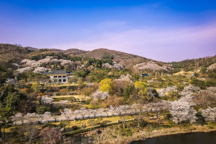 가실벚꽃길 여행 추천 - 메고지고