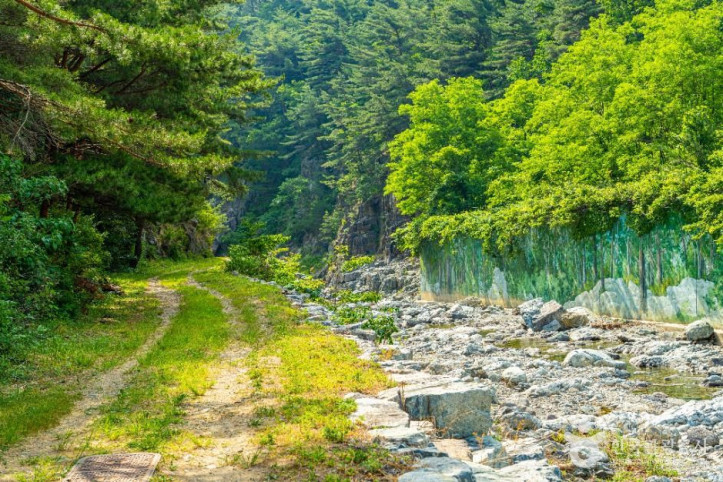 신선계곡 여행 추천 - 메고지고