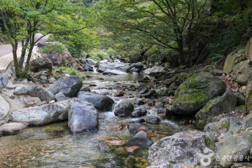 설매재자연휴양림 여행 추천 - 메고지고