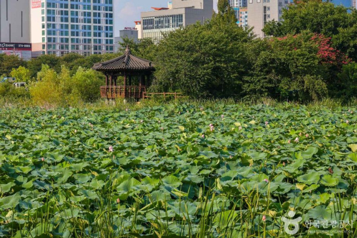 운천저수지 여행 추천 - 메고지고