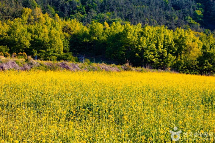선학동 마을 여행 추천 - 메고지고