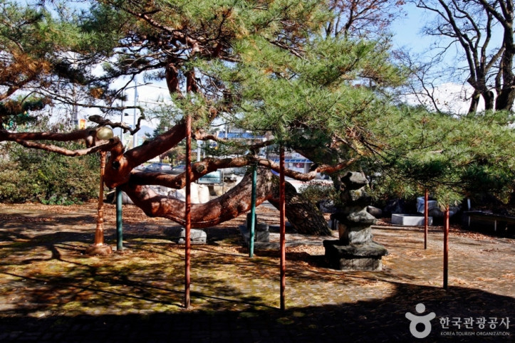 충주 단호사 삼층석탑 여행 추천 - 메고지고