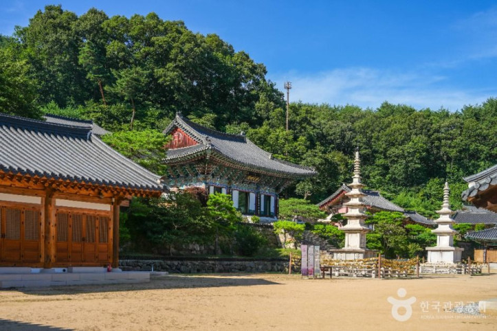 용문사(예천) 여행 추천 - 메고지고