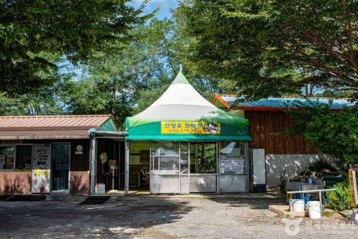 칠곡양떼목장 여행 추천 - 메고지고
