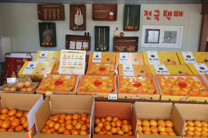 해품은체험농장 여행 추천 - 메고지고