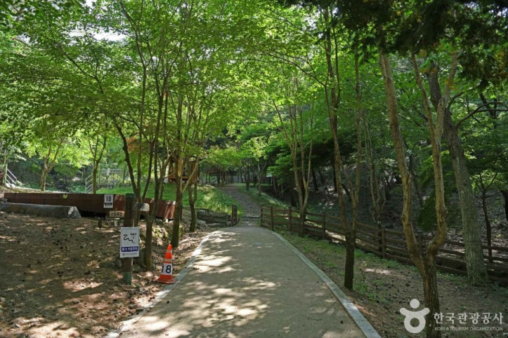 만수산자연휴양림 여행 추천 - 메고지고