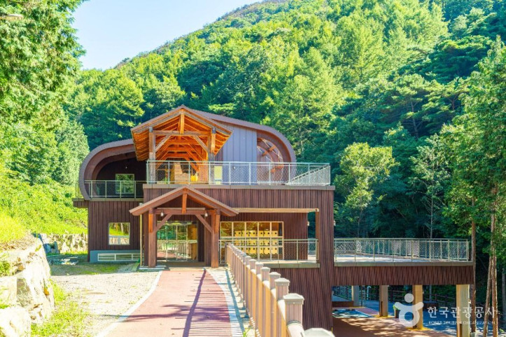 하동 편백자연휴양림 여행 추천 - 메고지고