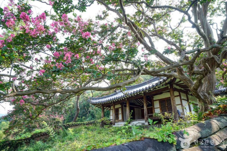 의양서원 여행 추천 - 메고지고