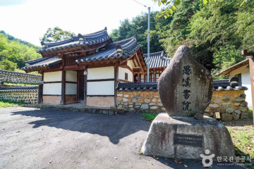 산청 실매리 왕버드나무군 여행 추천 - 메고지고