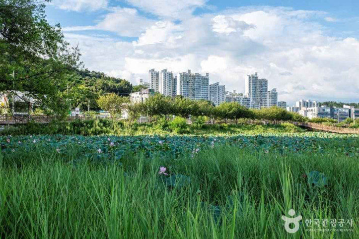 문성지 여행 추천 - 메고지고