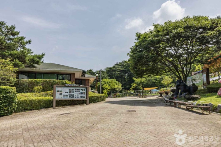 청주동물원 여행 추천 - 메고지고