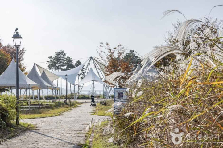 숲뜰근린공원 여행 추천 - 메고지고