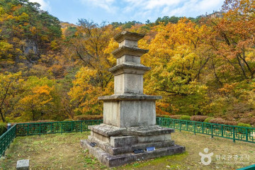 점봉산 곰배령 여행 추천 - 메고지고
