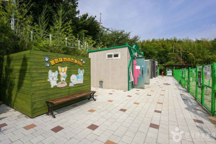 봉화재 반려견 놀이터 여행 추천 - 메고지고