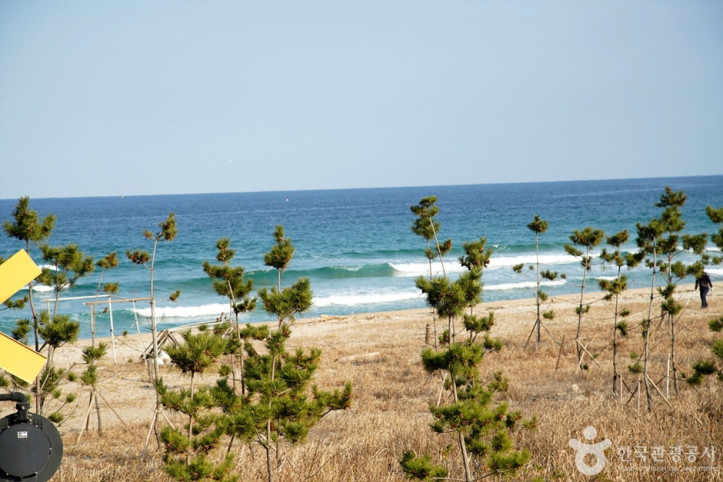 도직해변 여행 추천 - 메고지고