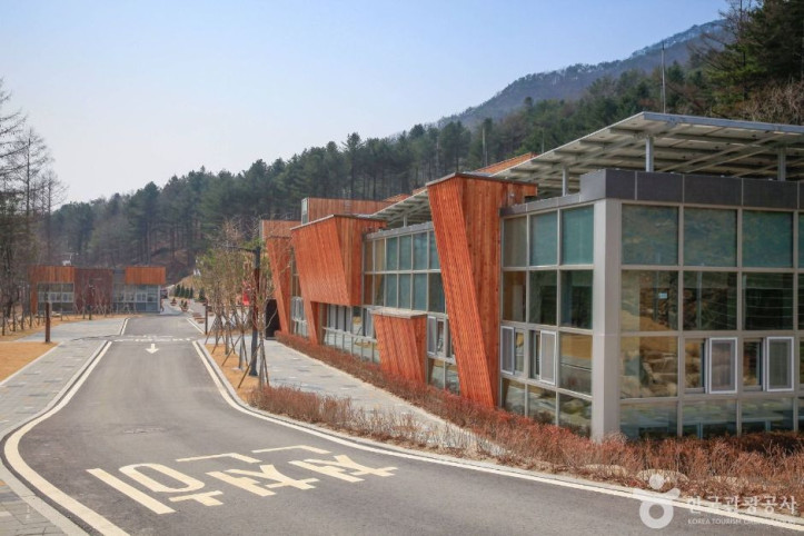 국립춘천숲체원 여행 추천 - 메고지고