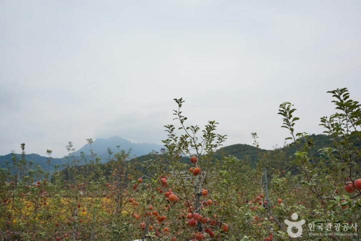 주흘산 여행 추천 - 메고지고