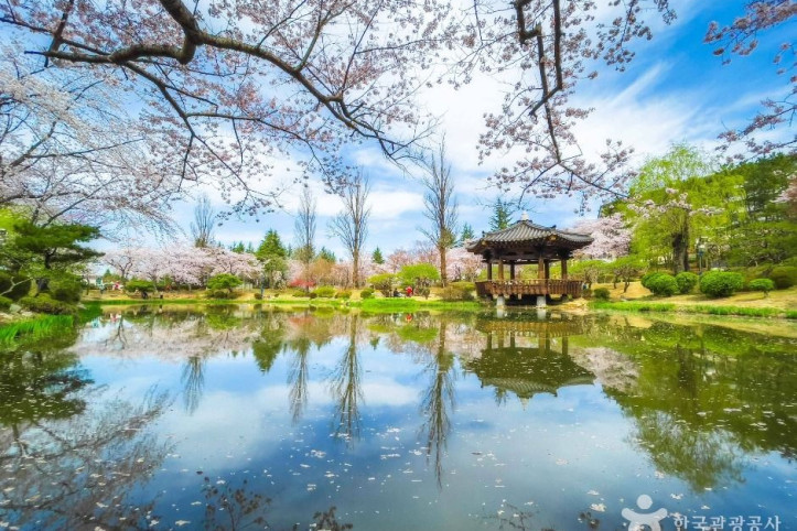 경주 보문관광단지 여행 추천 - 메고지고