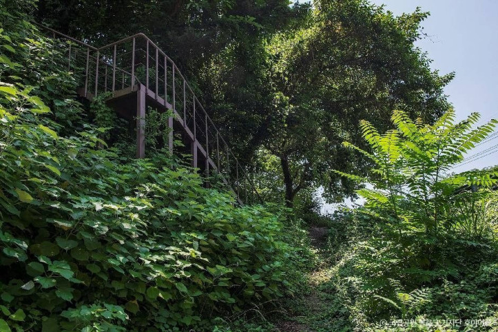한려해상국립공원(하동) 여행 추천 - 메고지고