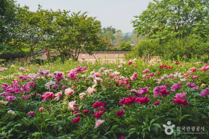 국립중앙박물관 전통염료식물원 여행 추천 - 메고지고