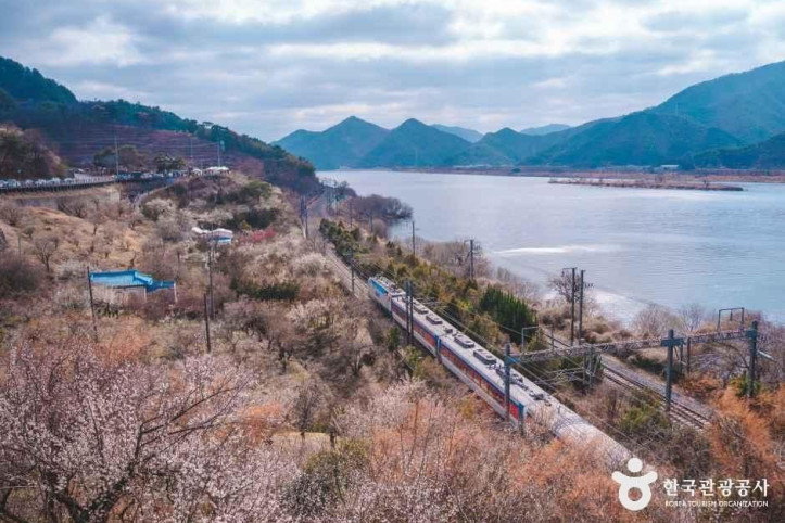 순매원 여행 추천 - 메고지고