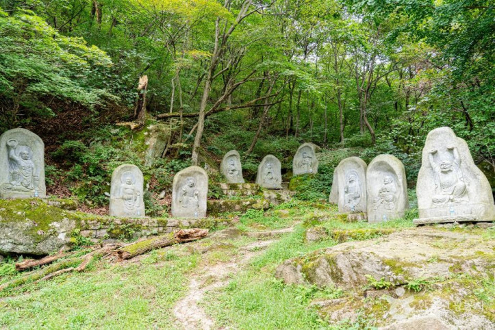 도선사(서울) 여행 추천 - 메고지고